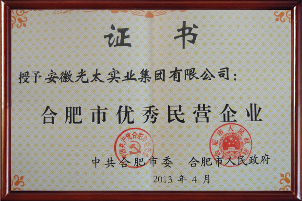 合肥市優(yōu)秀民營(yíng)企業(yè)