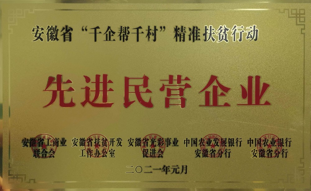 省”千企幫千村“精準(zhǔn)扶貧行動(dòng)先進(jìn)民營(yíng)企業(yè)